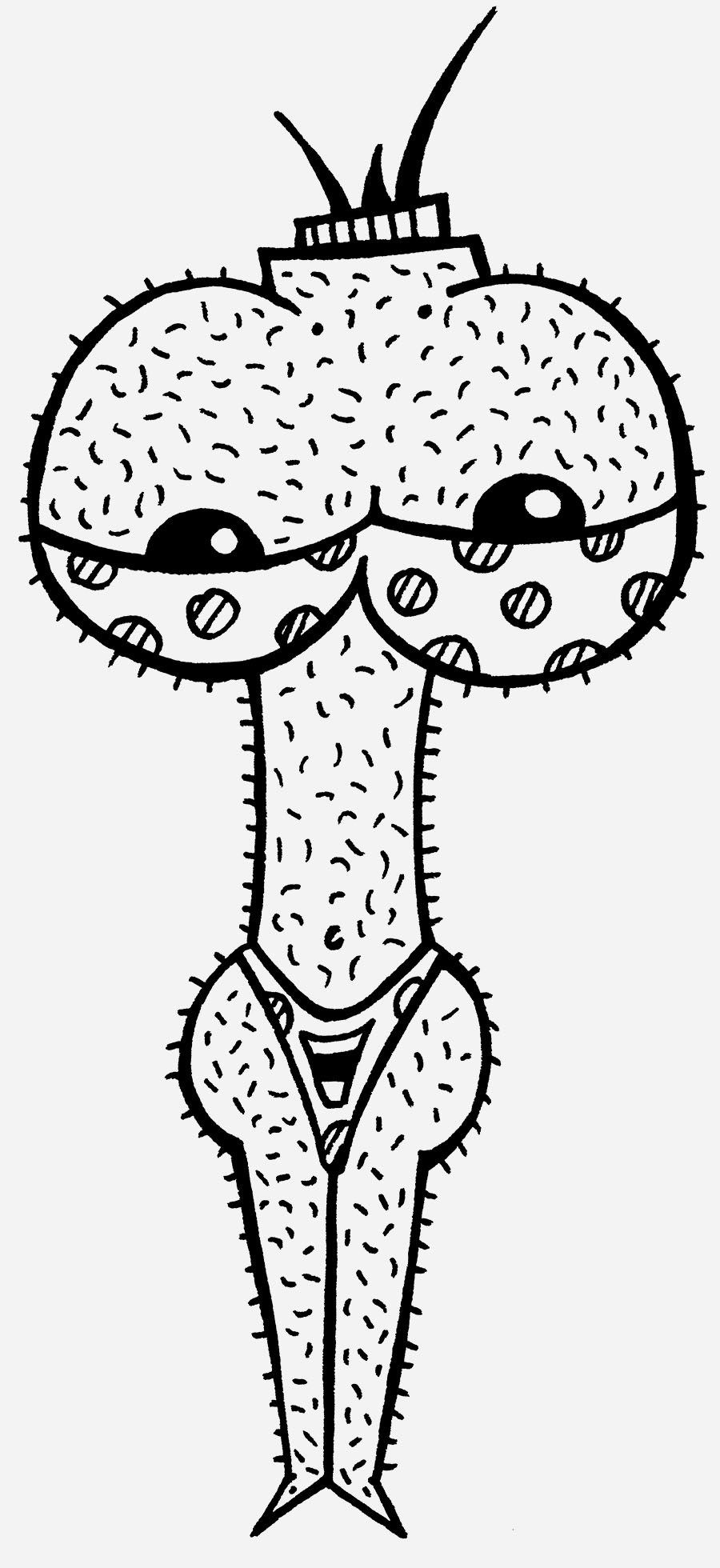 Haarige Möpse zeigt eine selbstbewusste Illuwillu Figur zwischen Körperfreiheit, Sinnlichkeit und Natürlichkeit.